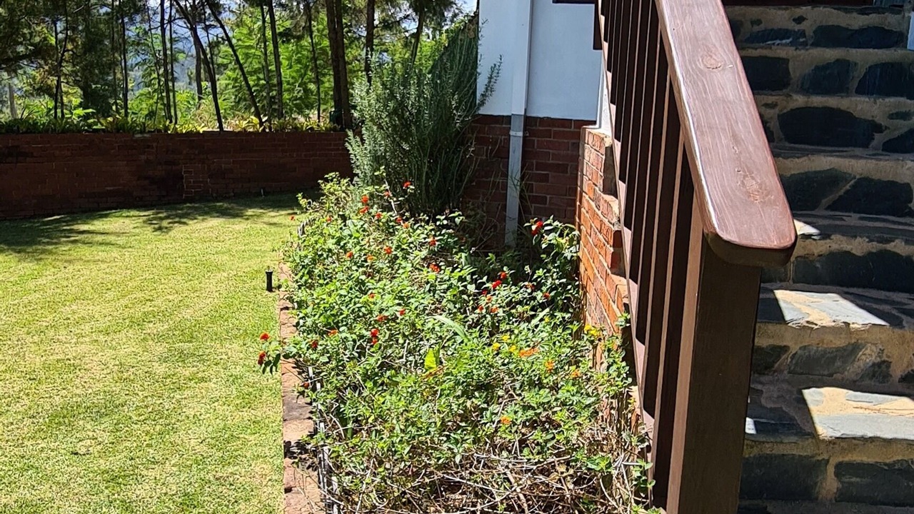 Photo of Outdoor in Jarabacoa