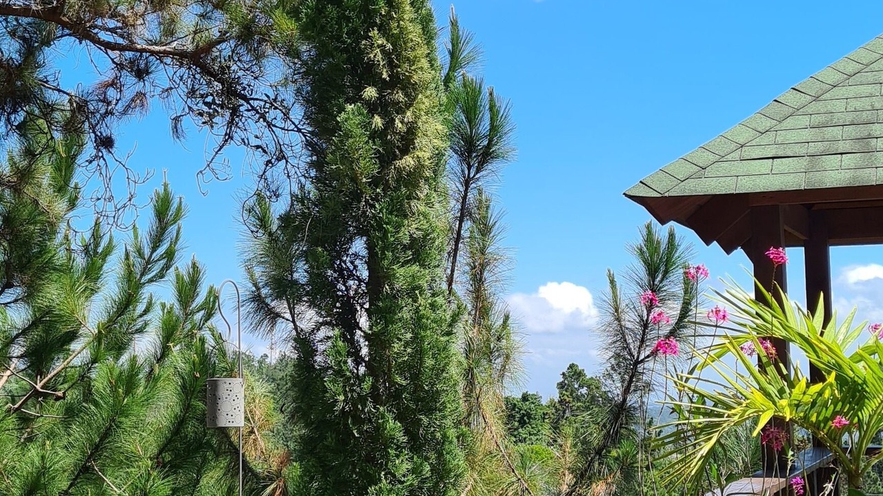Photo of Outdoor in Jarabacoa