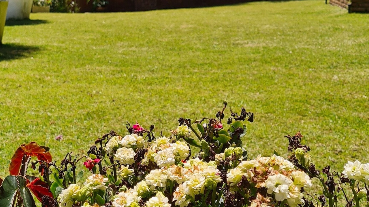 Photo of Outdoor in Jarabacoa