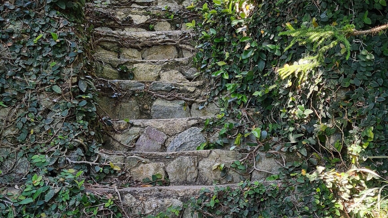 Photo of Outdoor in Jarabacoa