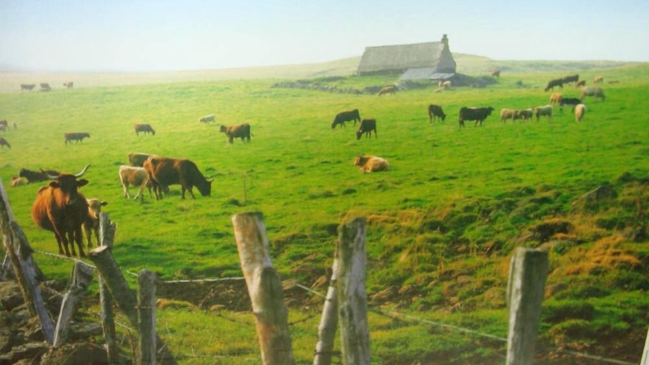 Photo of Outdoor in Massiac