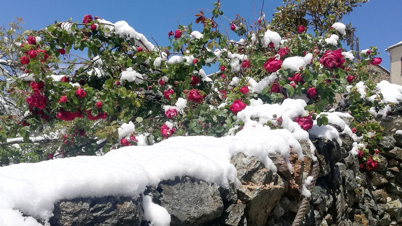Photo of Outdoor in Santa-Lucia-di-Mercurio