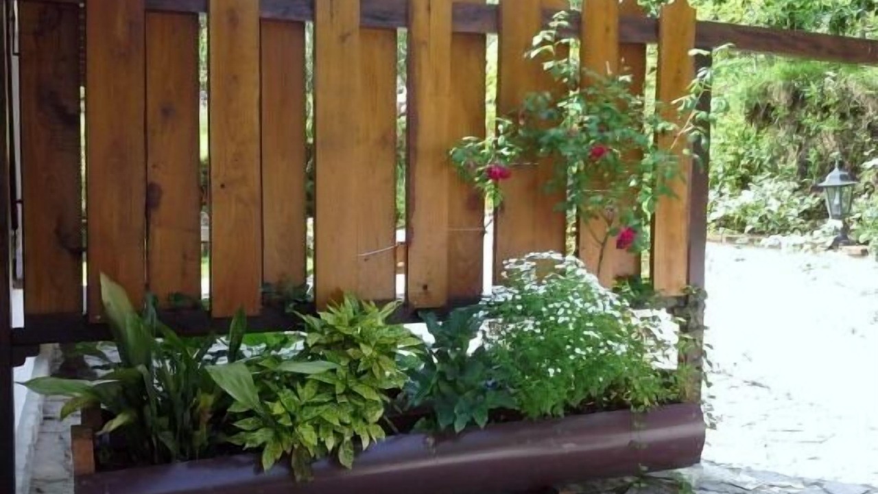 Photo of Outdoor in Penamellera Alta