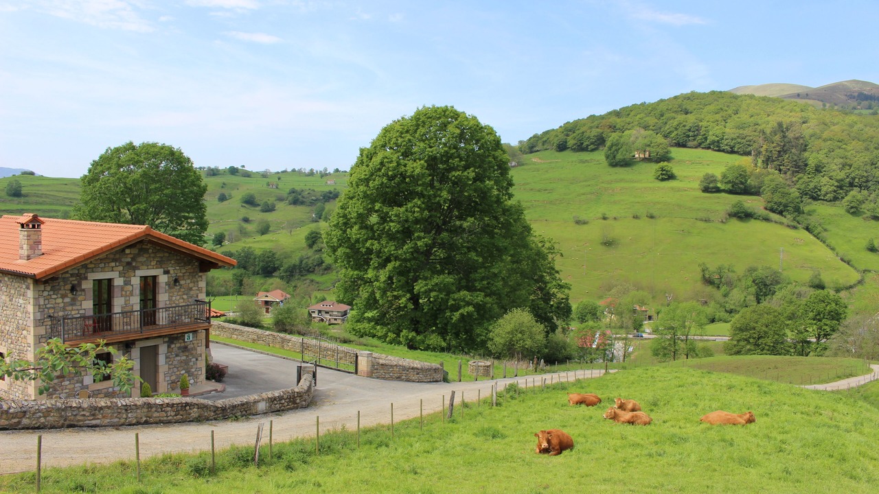Photo of Outdoor in Selaya