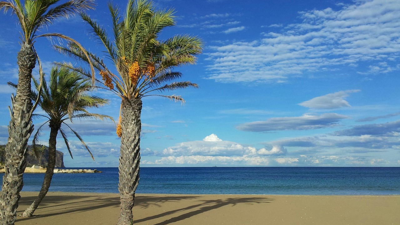 Photo of Others in Platja de l'Arenal