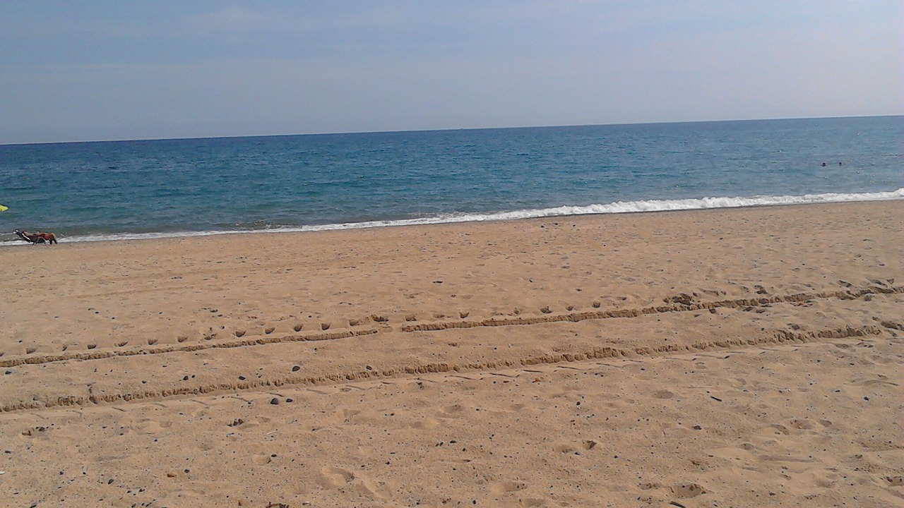 Photo of Others in Parc de Mont-roig