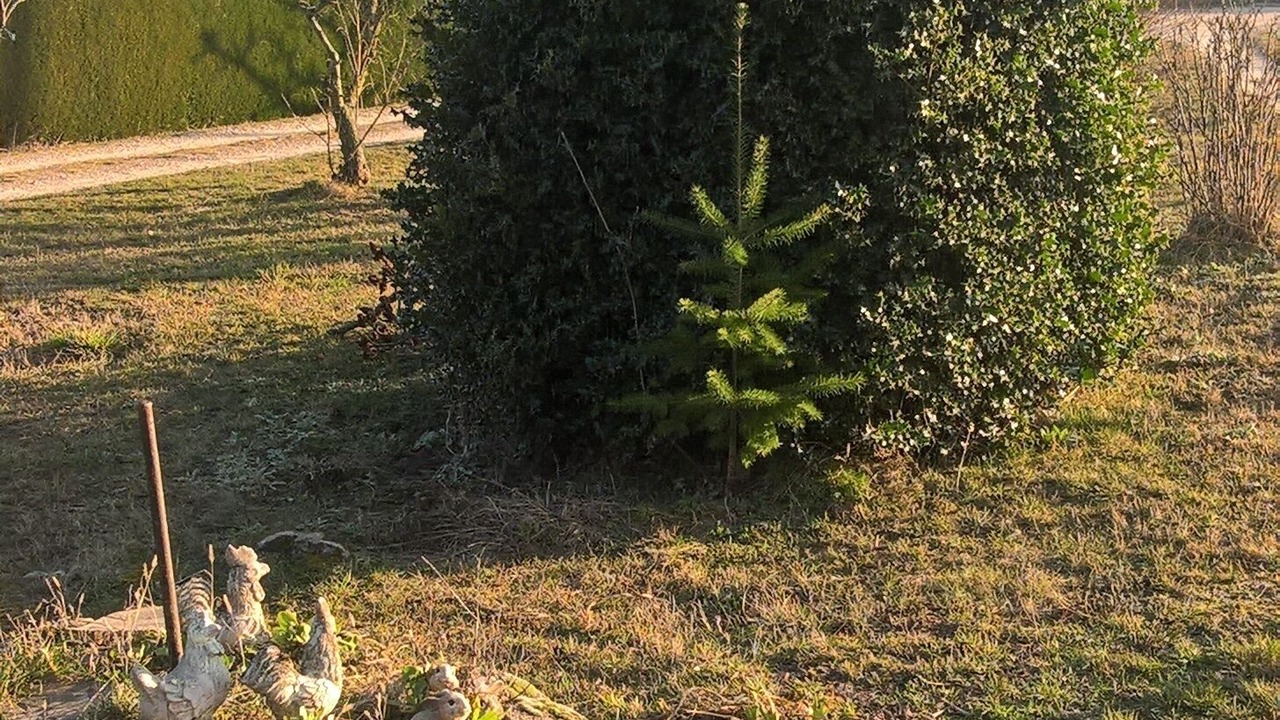 Photo of Outdoor in Saint-Maurice-en-Gourgois