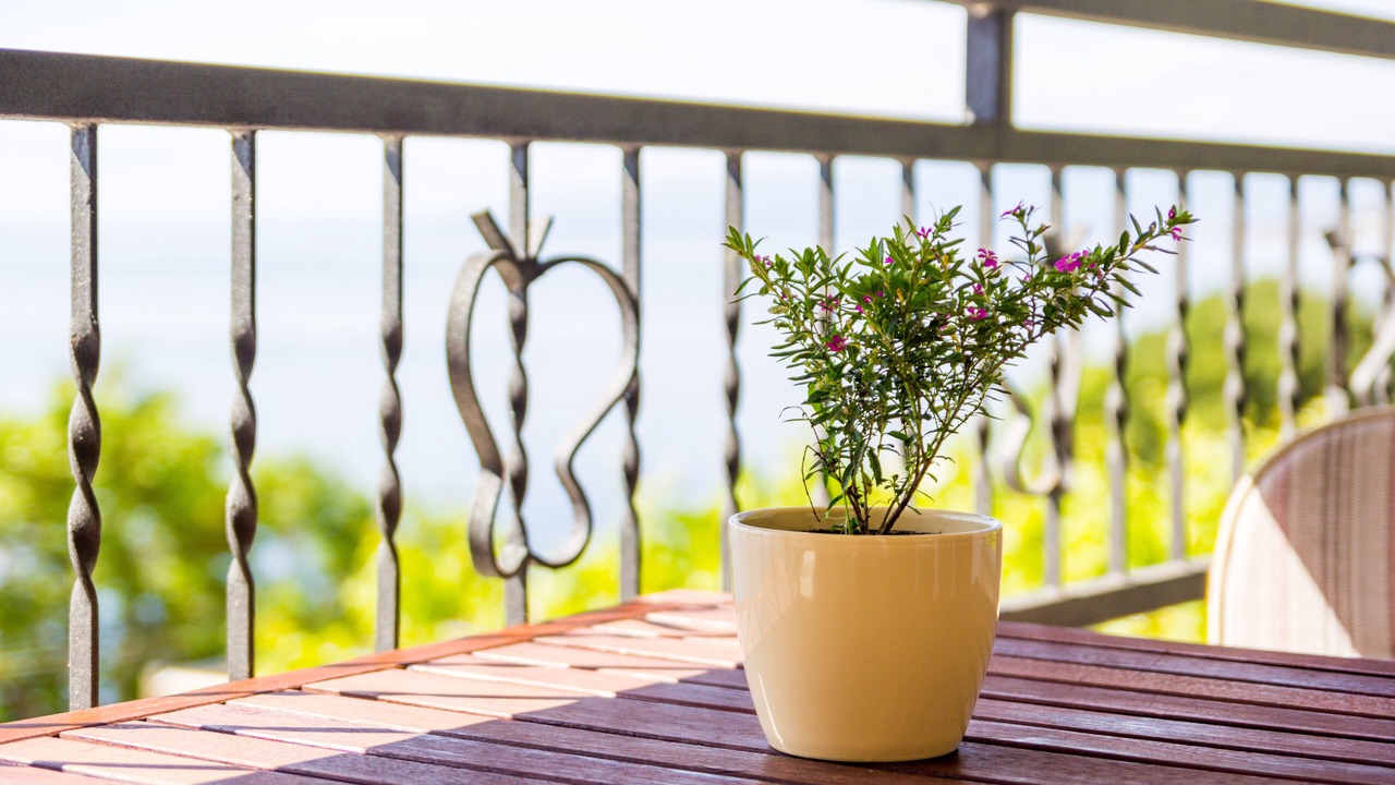 Photo of Patio Balcony in Sveti Juraj