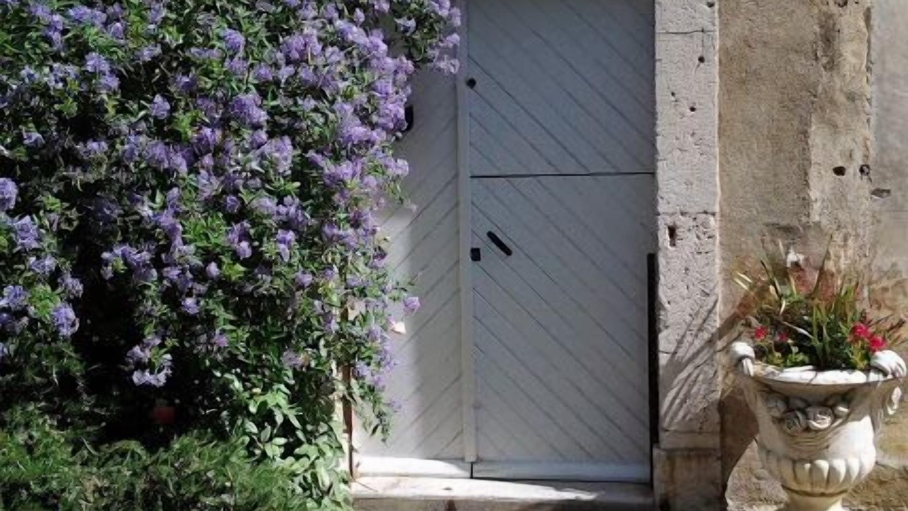 Photo of Others in Raissac-d'Aude