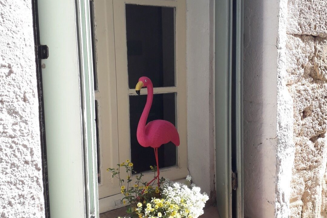 Photo of Outdoor in Saint-Genies-de-Fontedit