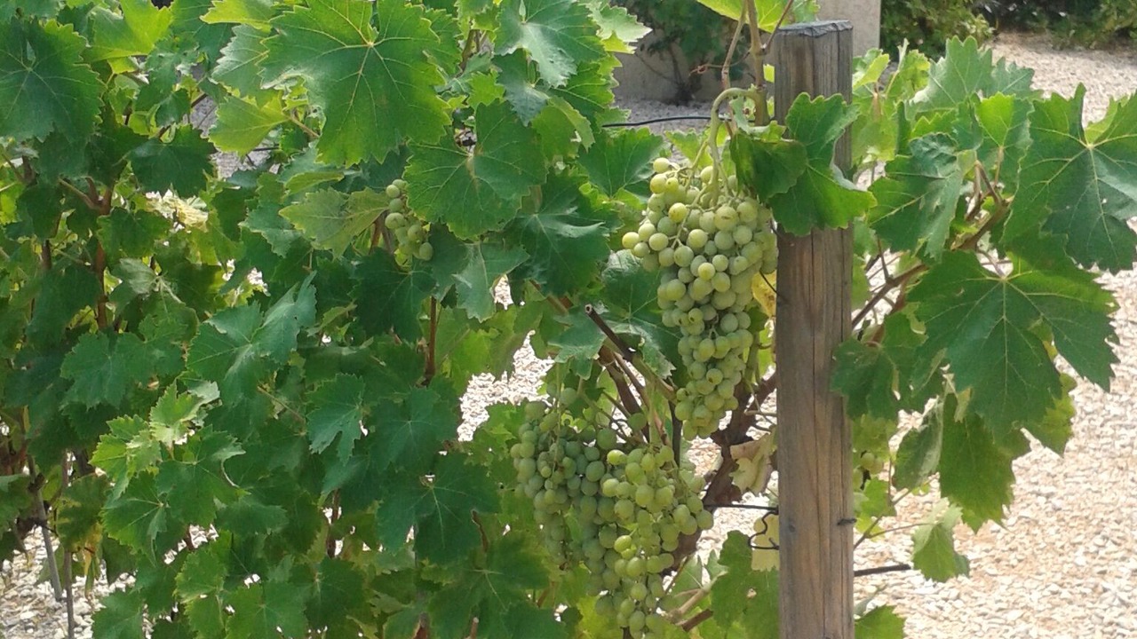 Photo of Outdoor in Aigremont