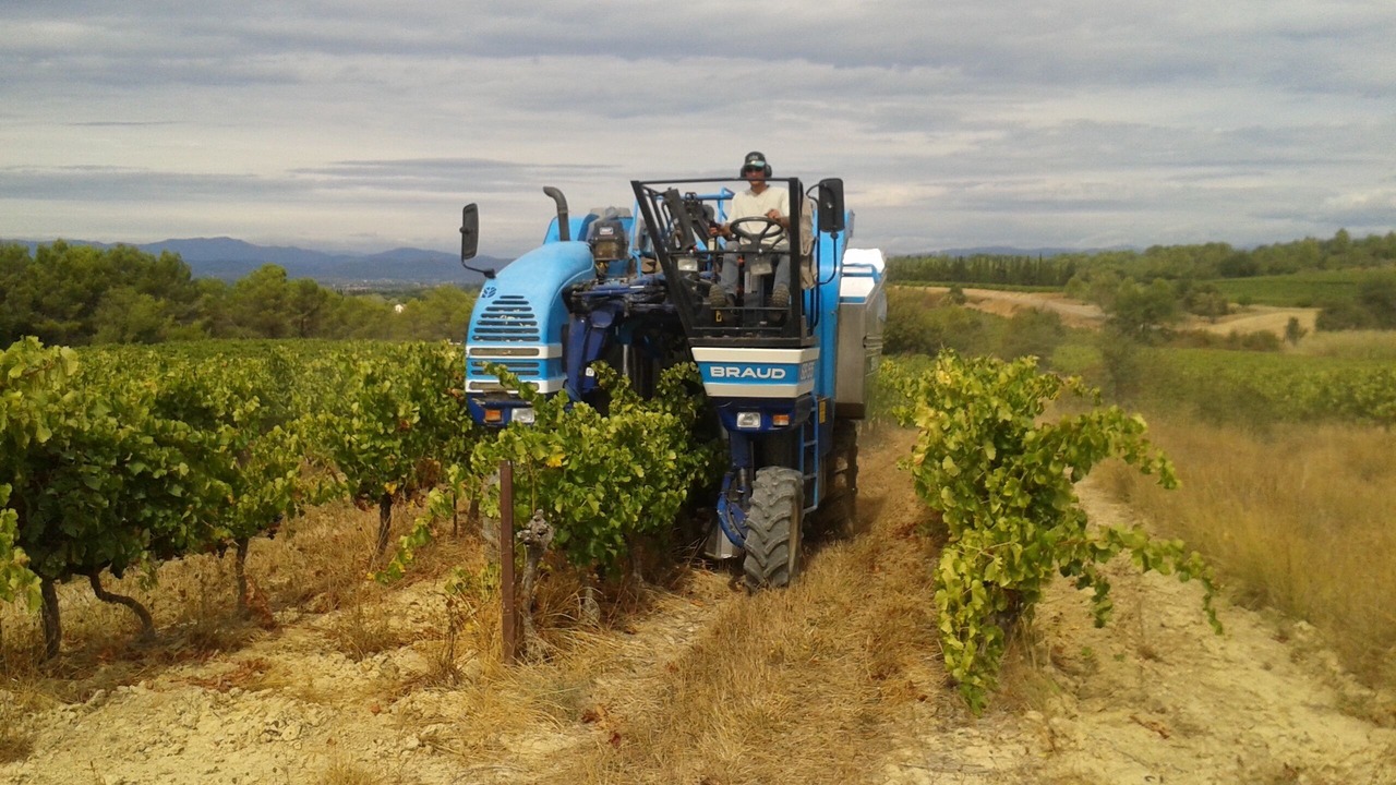 Photo of Others in Aigremont