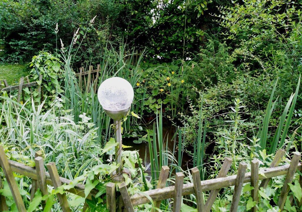 Photo of Outdoor in Saint-Hilaire-de-Clisson