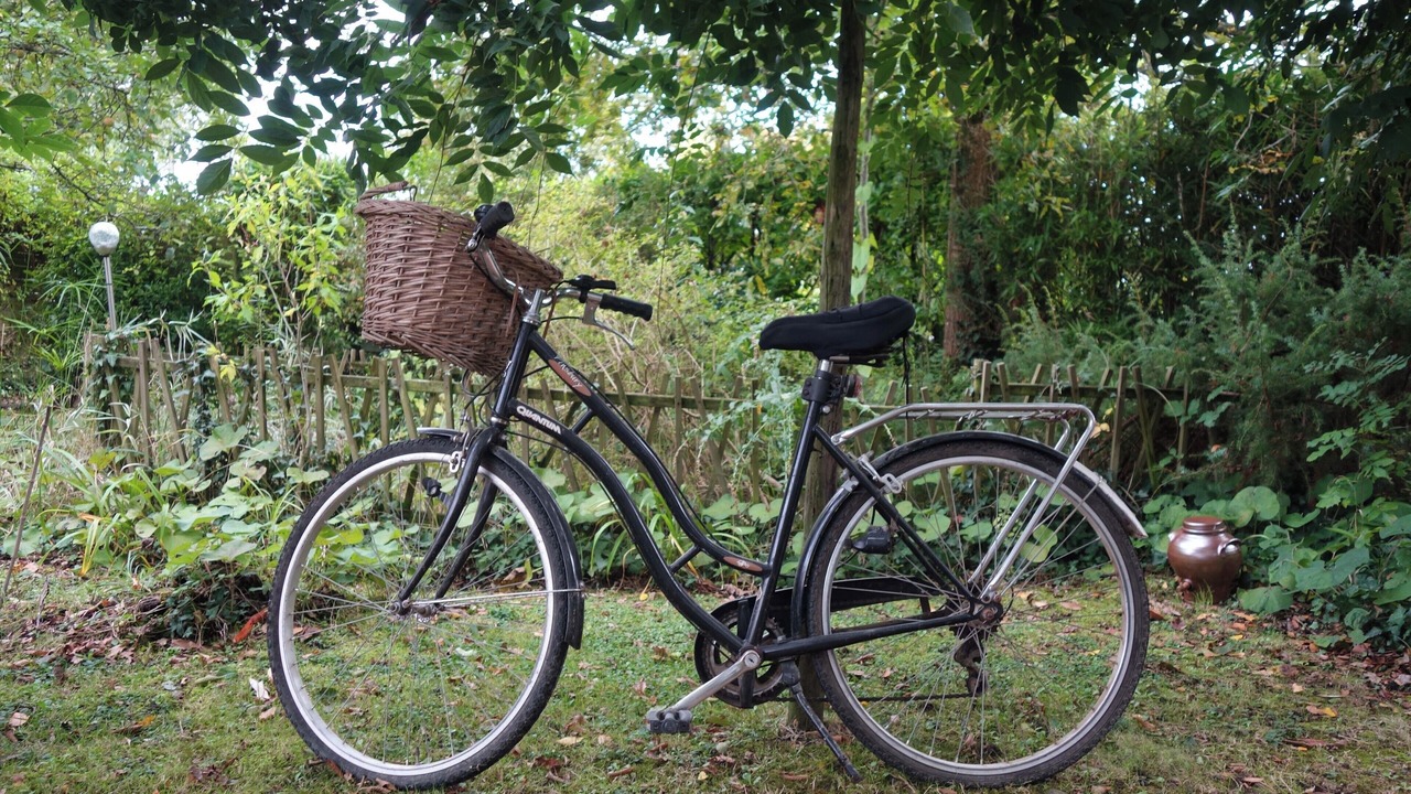 Photo of Outdoor in Saint-Hilaire-de-Clisson