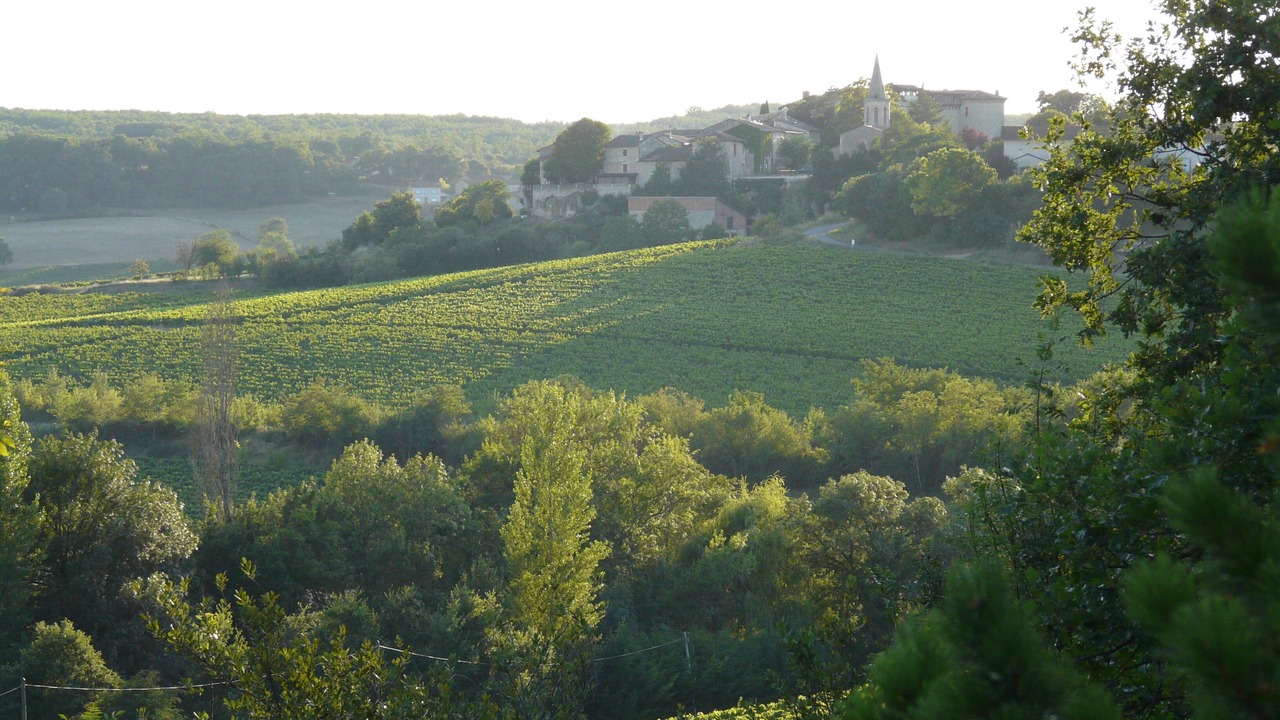 Photo of Outdoor in Senouillac