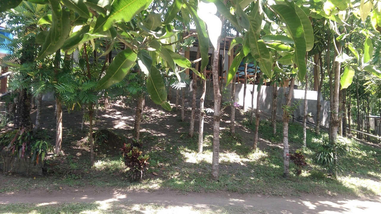 Photo of Outdoor in Airmadidi