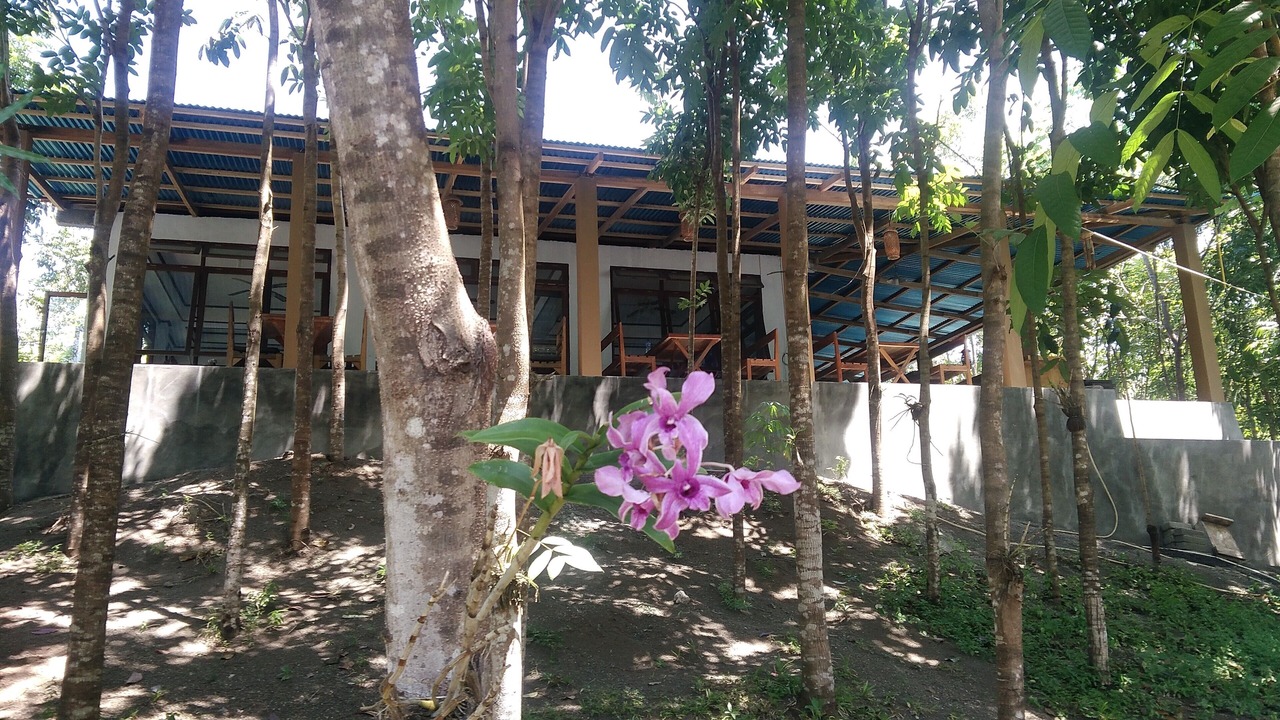 Photo of Outdoor in Airmadidi