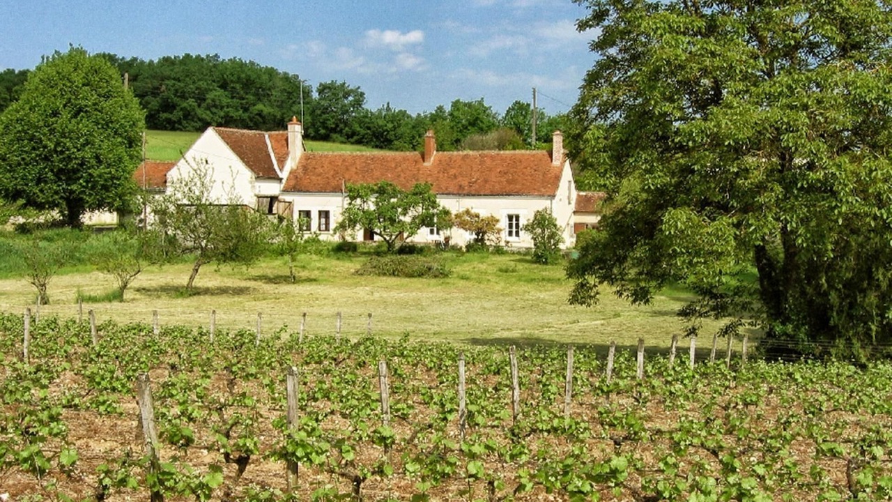 Photo of Outdoor in Montlouis-sur-Loire