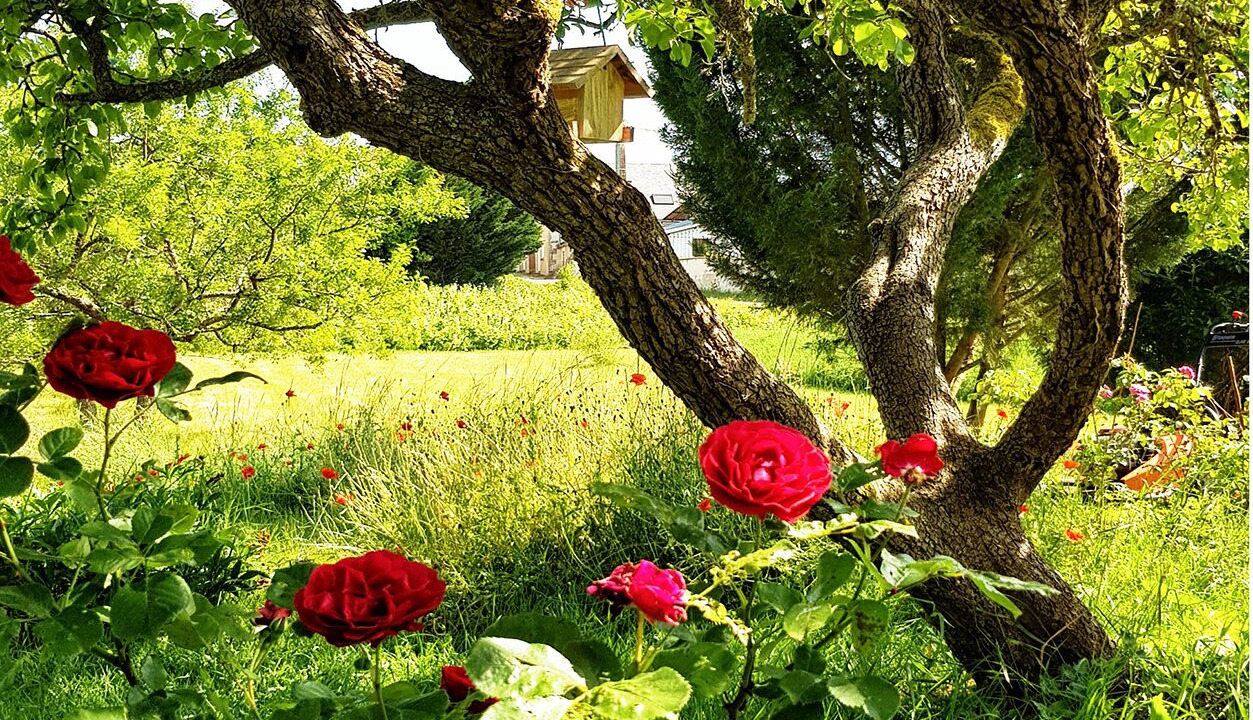 Photo of Outdoor in Montlouis-sur-Loire