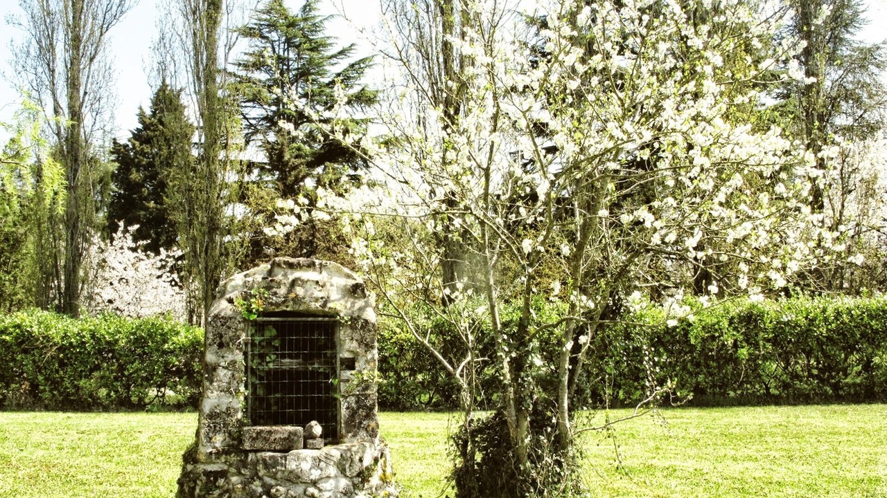 Photo of Outdoor in Montlouis-sur-Loire