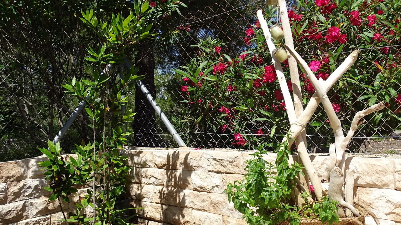 Photo of Outdoor in L'Ametlla de Mar
