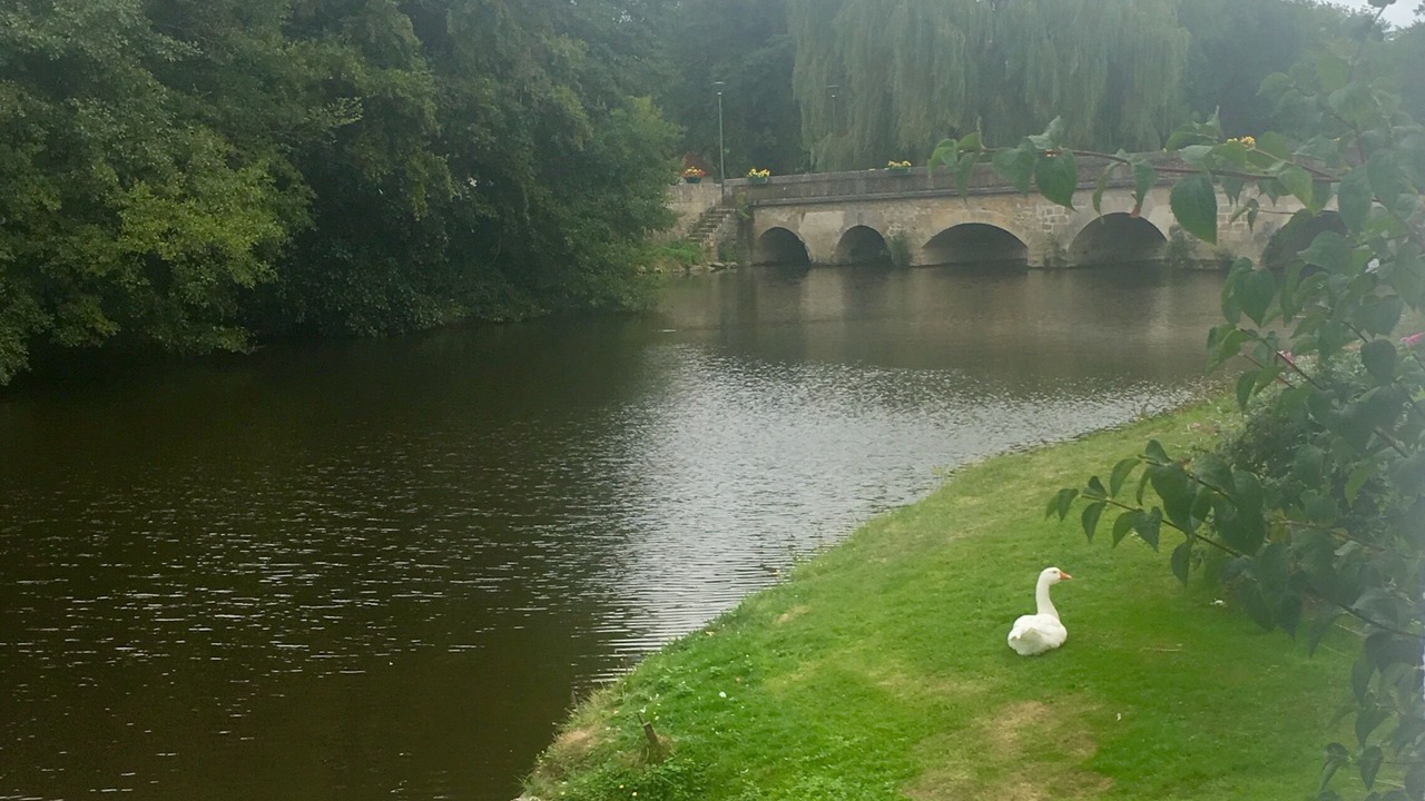 Photo of Others in La Trimouille