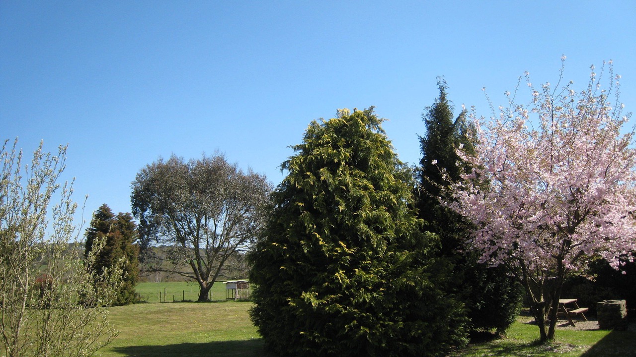 Photo of Outdoor in Marzan