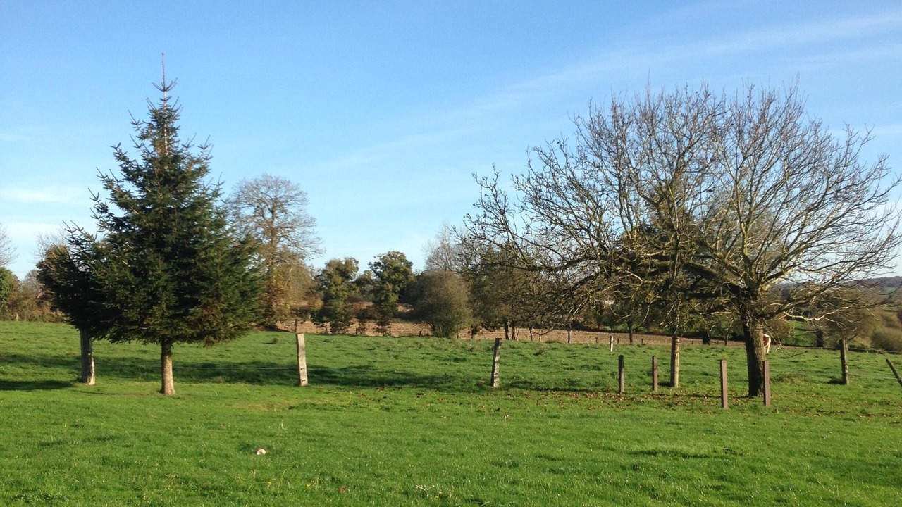 Photo of Others in Lapenty