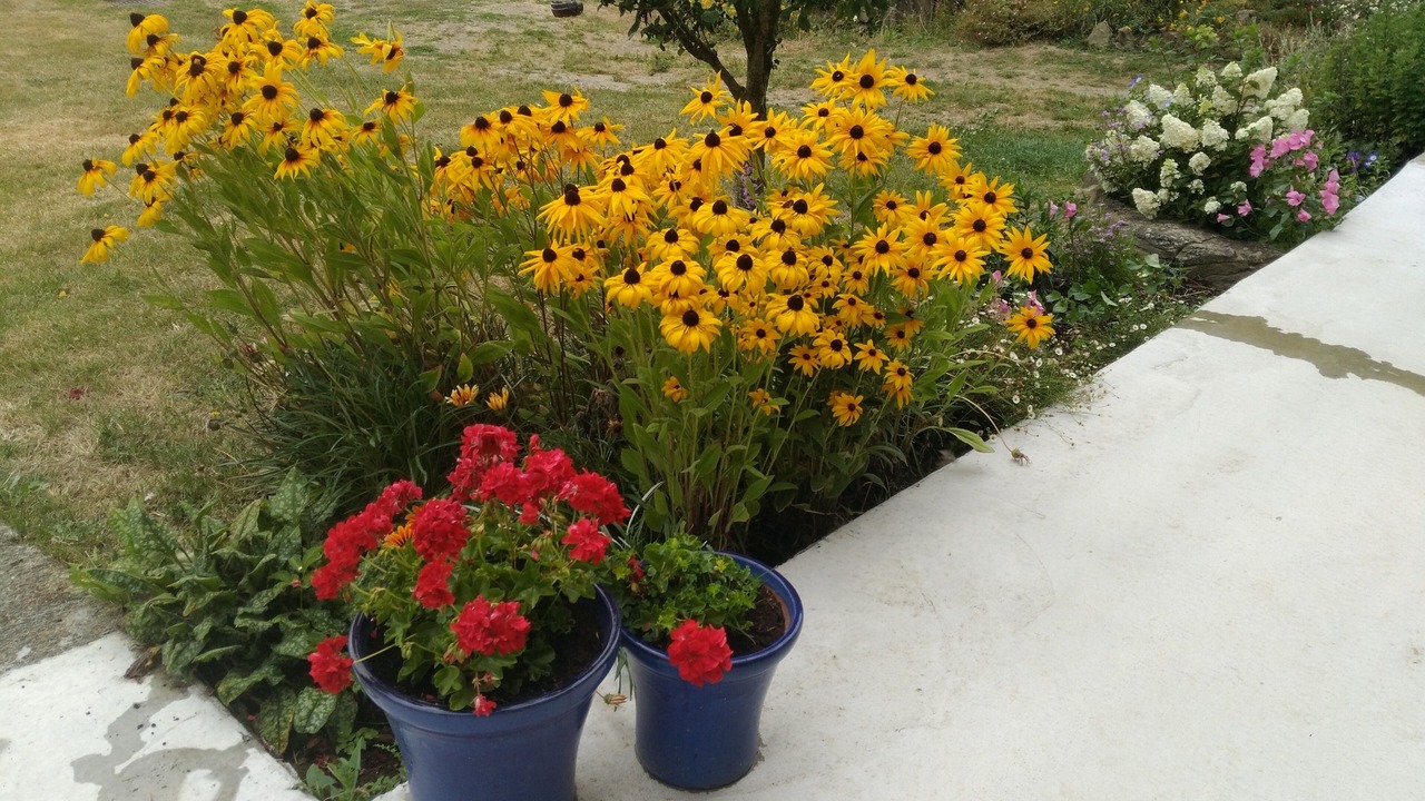 Photo of Outdoor in Lapenty
