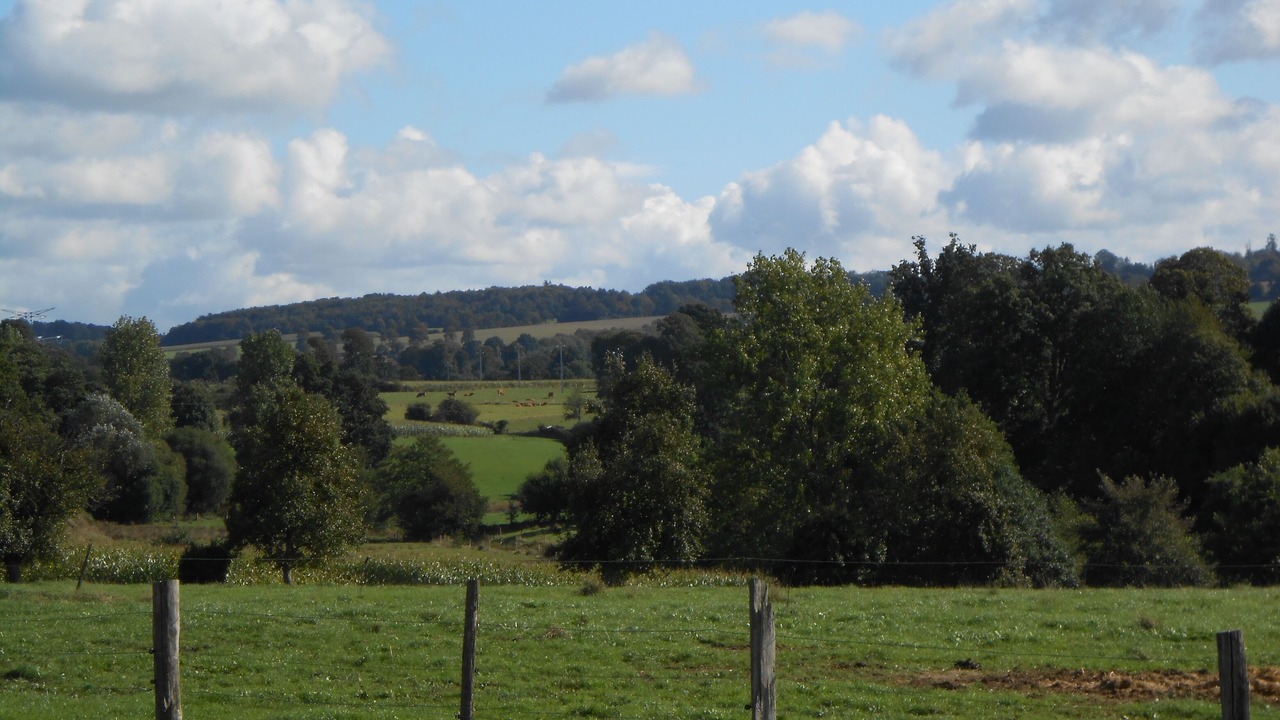Photo of Others in Lapenty