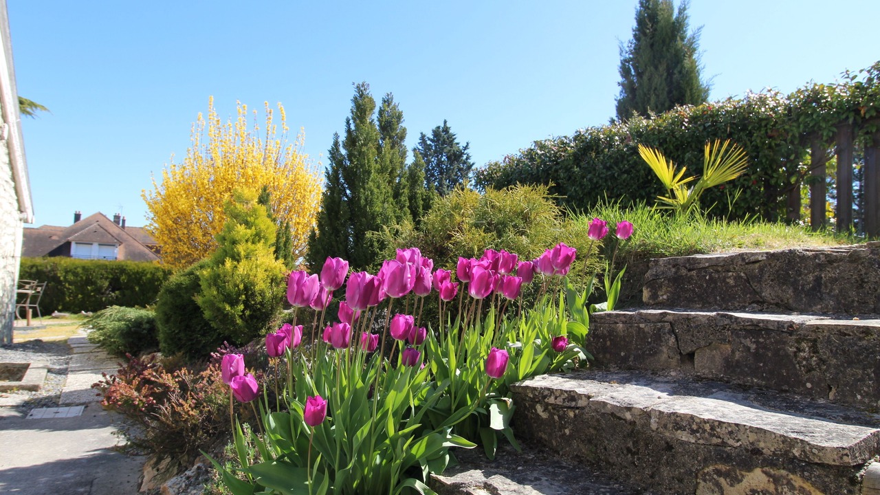 Photo of Outdoor in La Roche-Posay