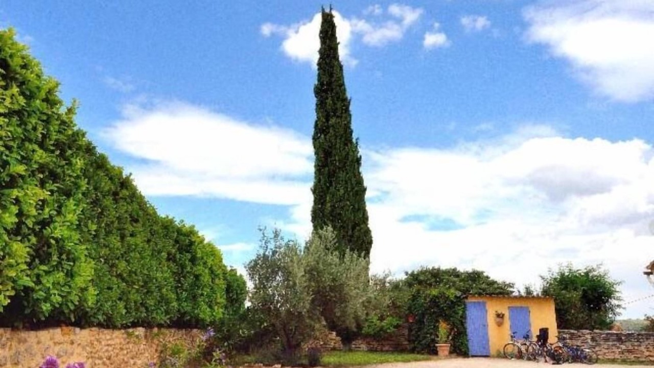 Photo of Outdoor in Saint-Julien-de-Peyrolas