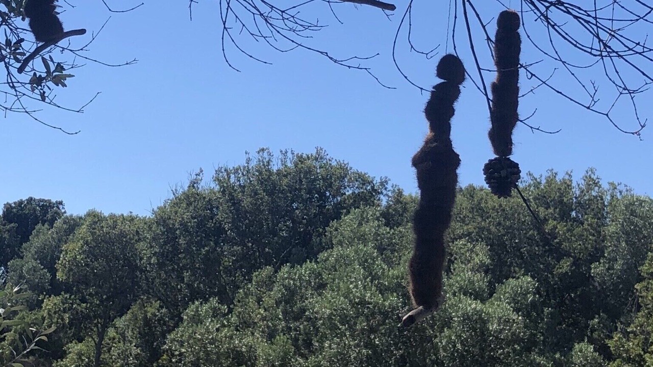 Photo of Outdoor in Bonifacio