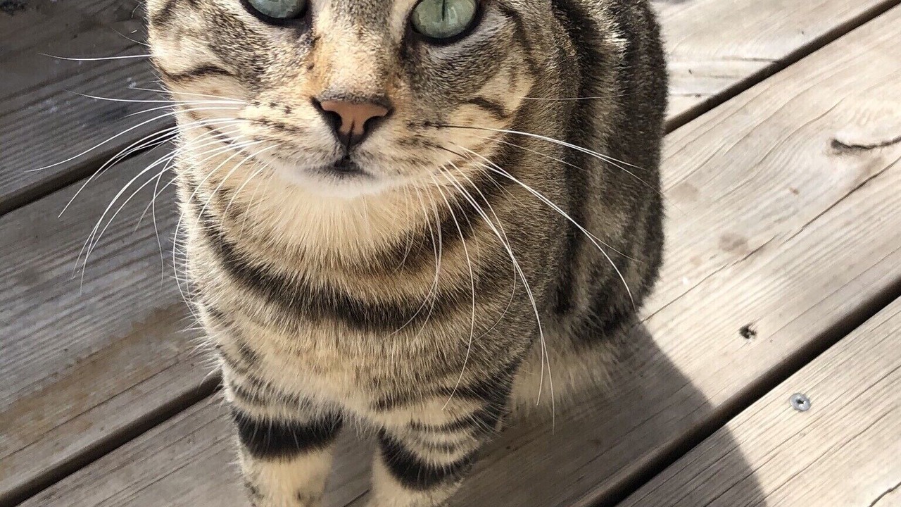 Photo of Others in Bonifacio