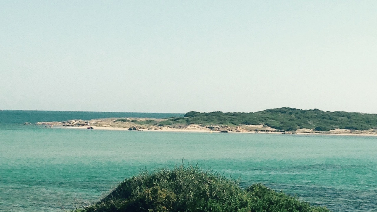 Photo of Others in Bonifacio