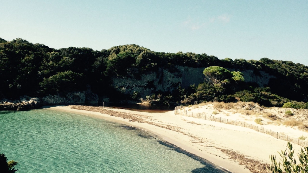 Photo of Others in Bonifacio