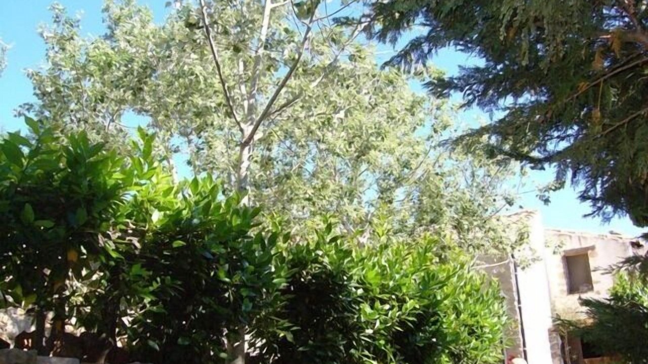 Photo of Outdoor in La Torre d'En Besora