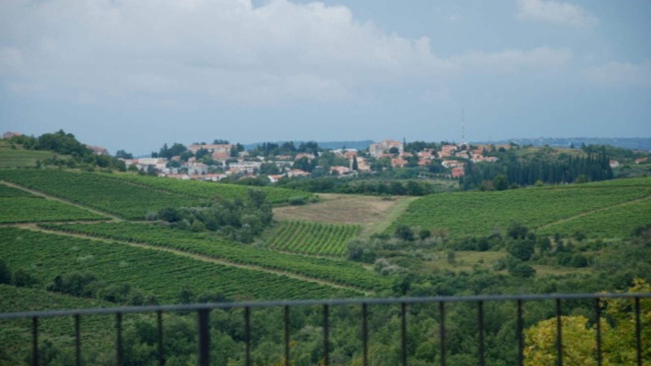 Photo of Others in Baredine