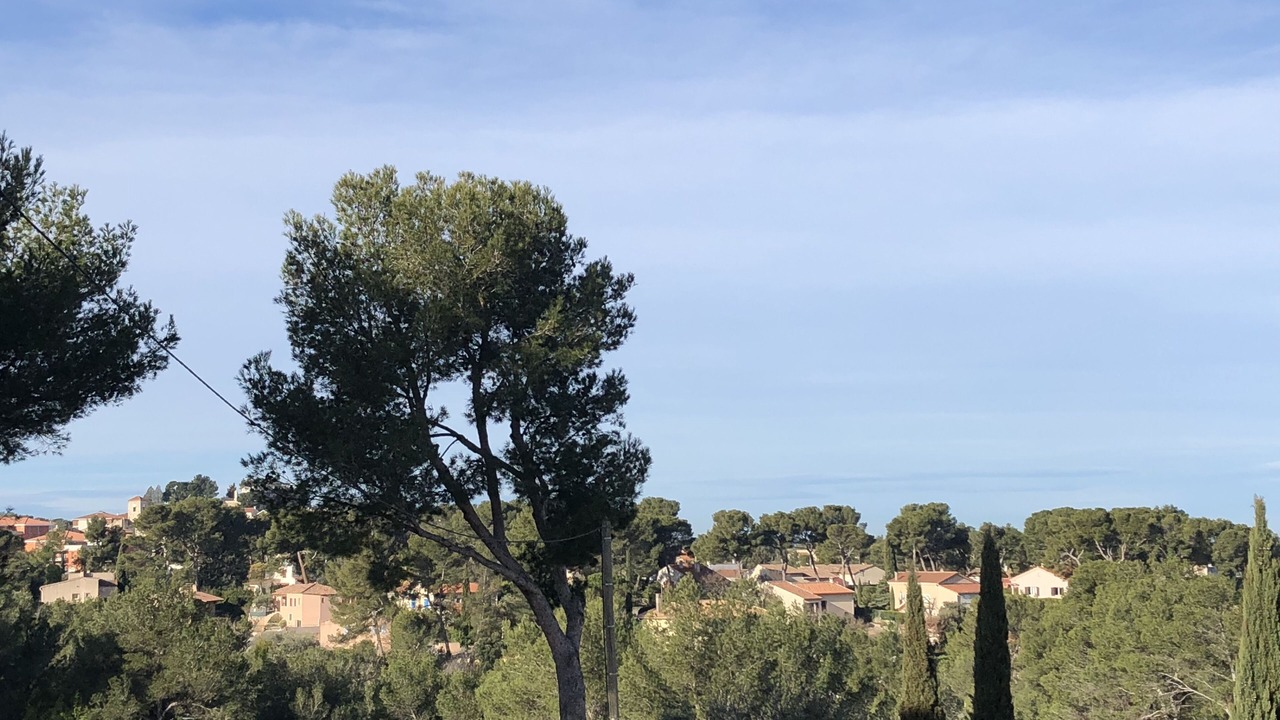 Photo of Outdoor in Bouc-Bel-Air