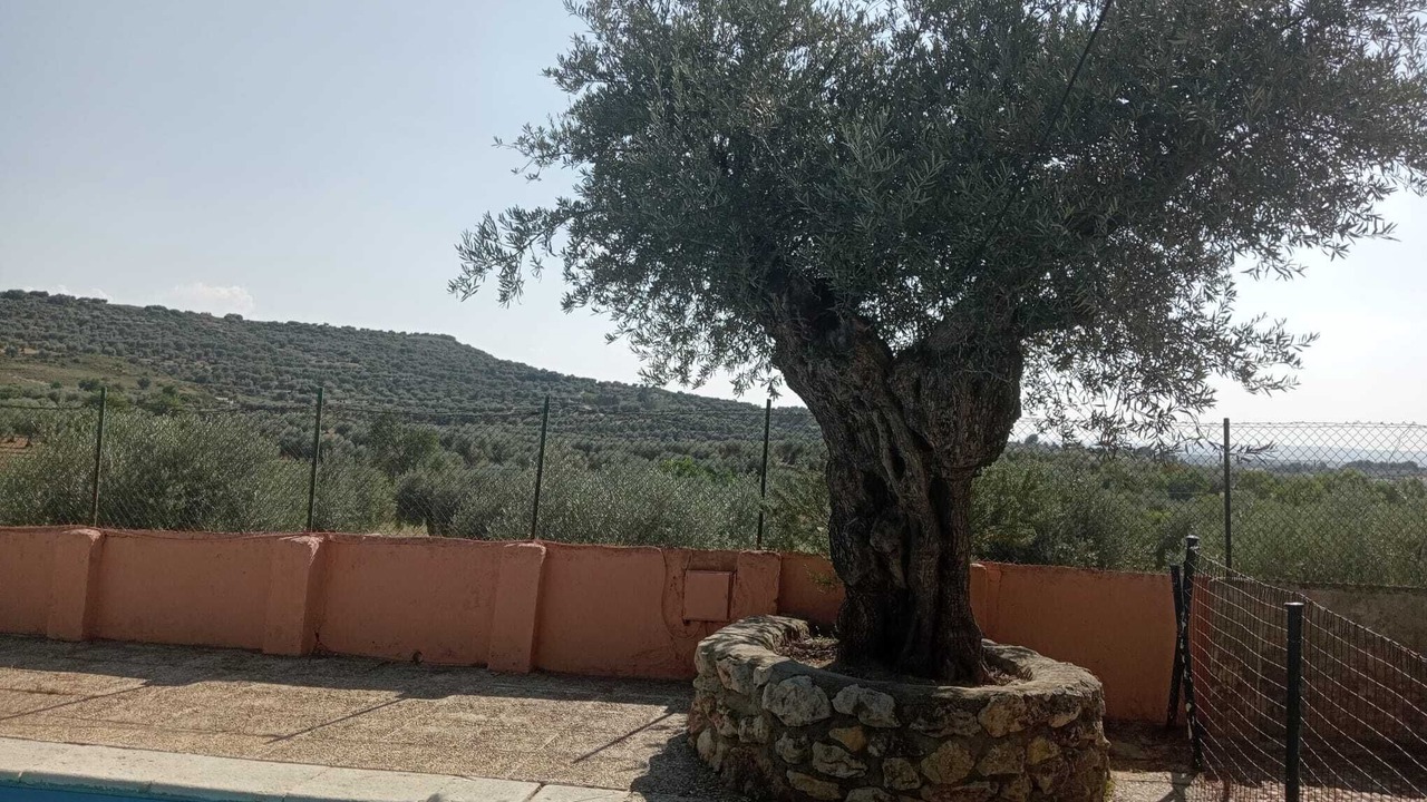 Photo of Outdoor in Chinchon
