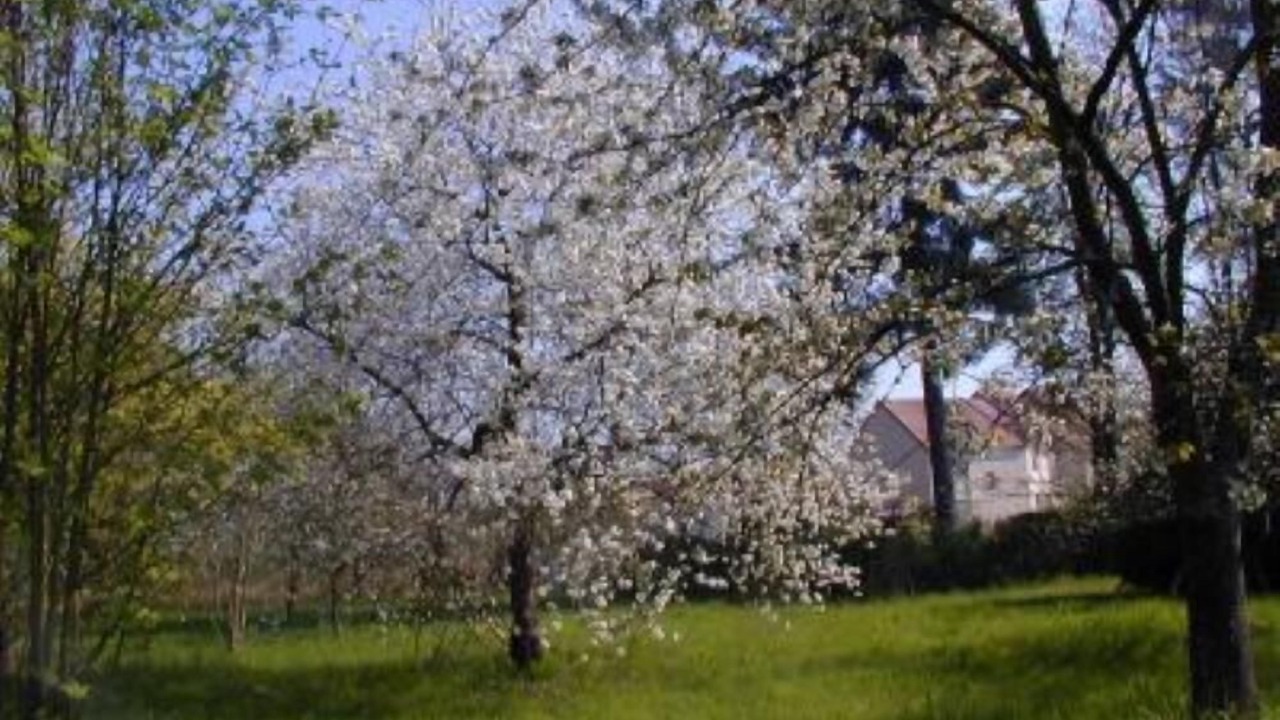 Photo of Outdoor in Chevannes