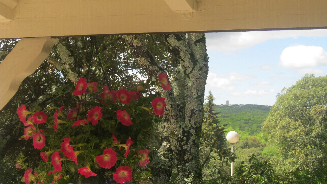 Photo of Outdoor in Mejannes-le-Clap