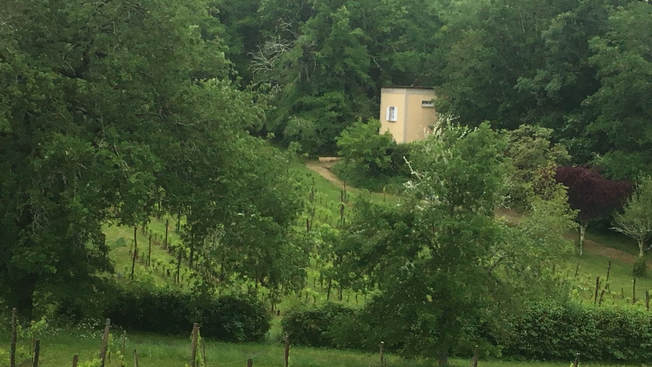 Photo of Outdoor in Veyrines-de-Domme