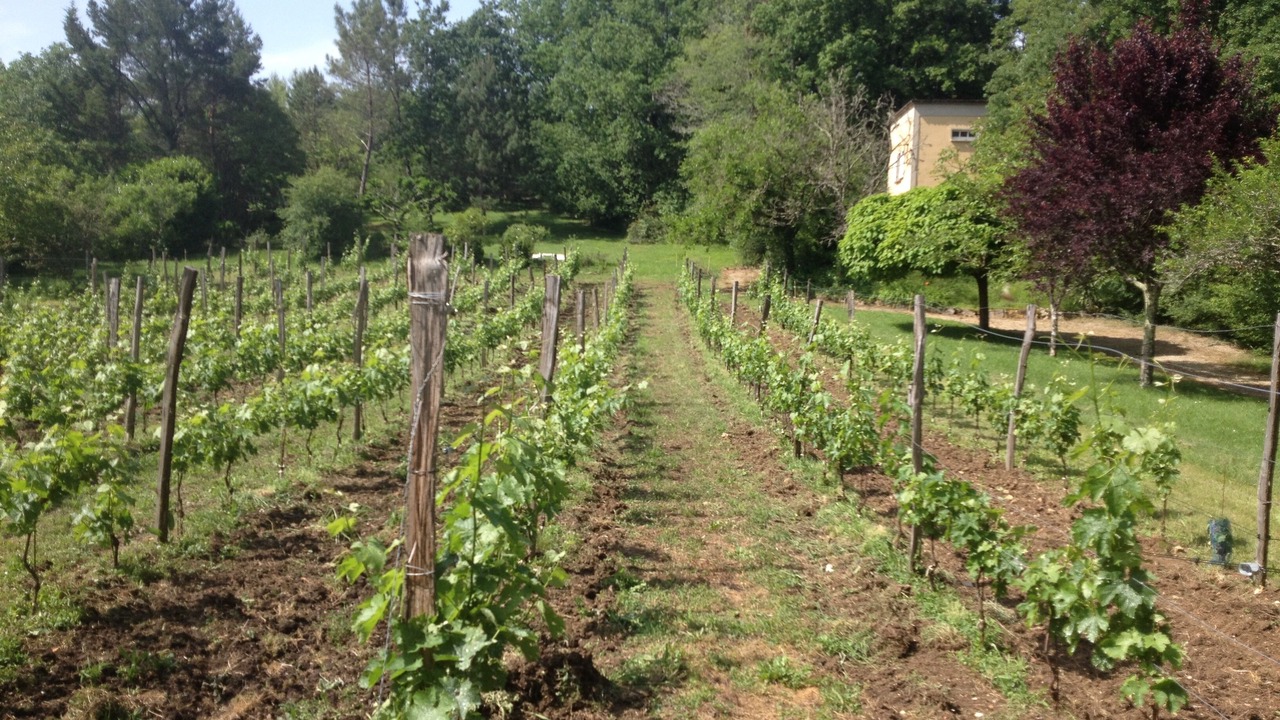 Photo of Outdoor in Veyrines-de-Domme