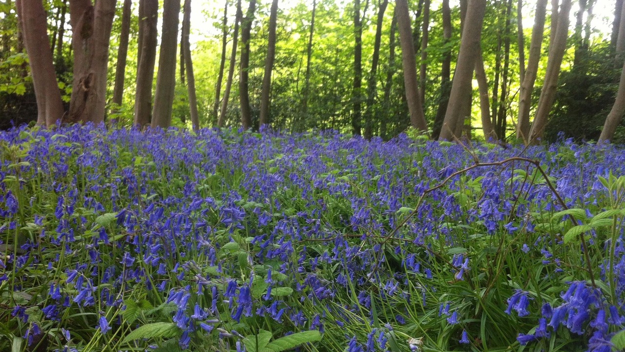 Photo of Others in Pensax