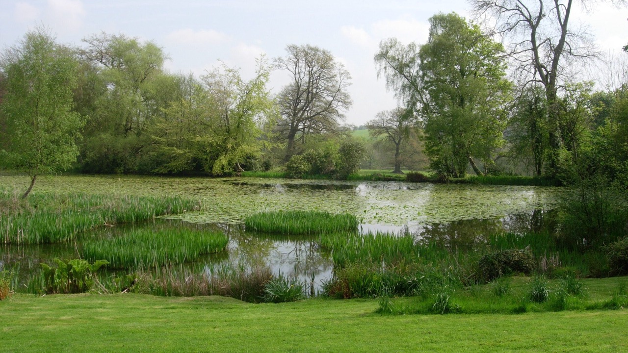 Photo of Outdoor in Pensax