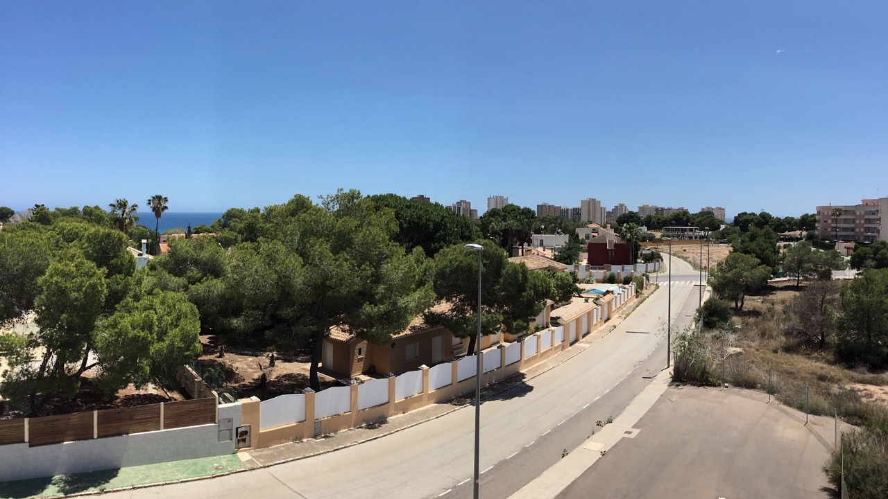 Photo of Others in Dehesa de Campoamor