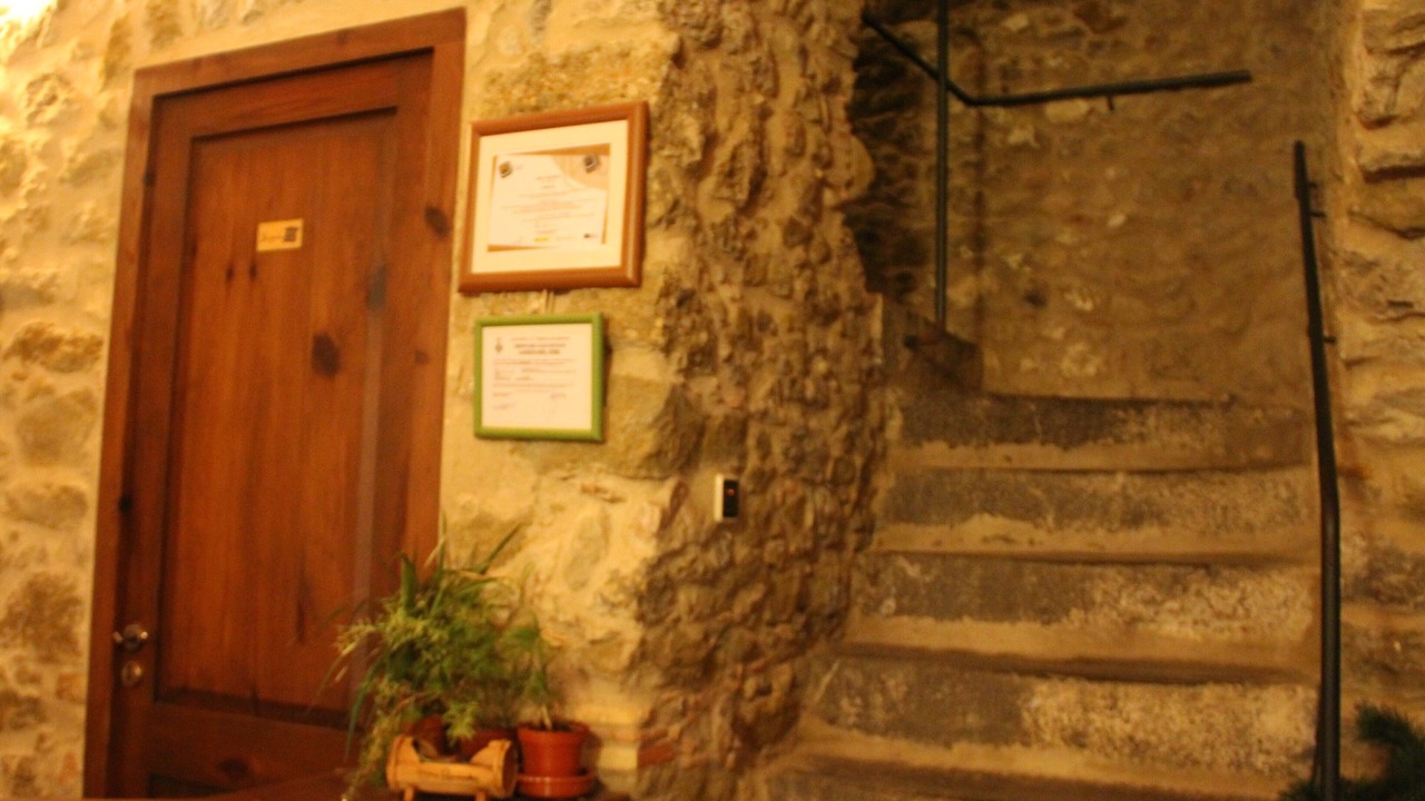 Photo of Others in Torroella de Montgri