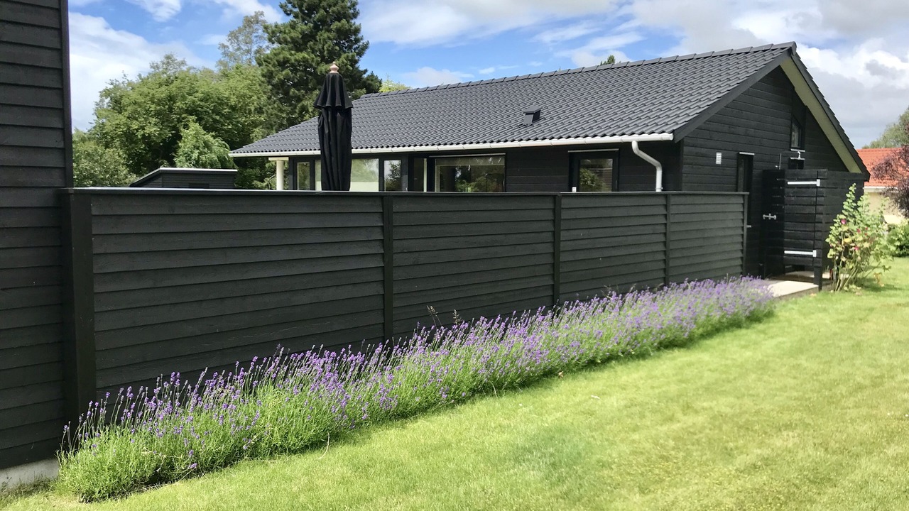 Photo of Outdoor in Stege
