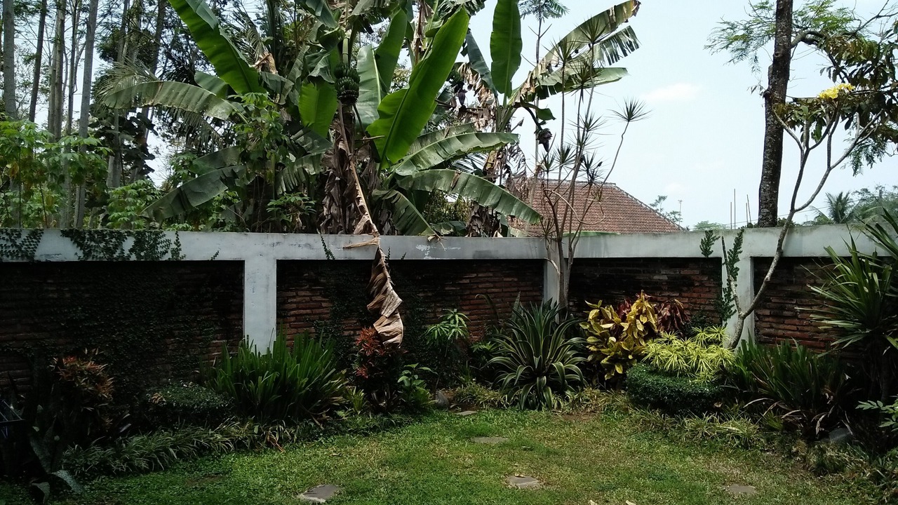 Photo of Outdoor in Tajinan
